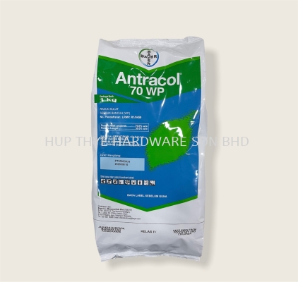 ANTRACOL 70WP 