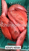 Ikan Kerapu Merah / Speckled Red Grouper Frozen Fish