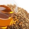 Crude Soybean Oil International Commodity Trading