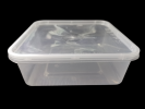 SQ1 Square Container Food Container