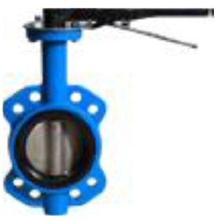 CI Butterfly Valve