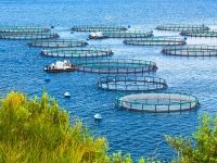 Fish Farm & Greenhouse Health Preservation