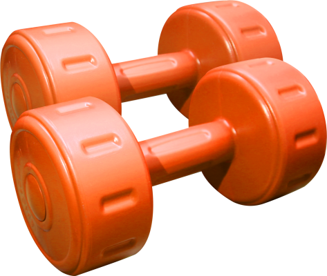 Dumbbell Set ( 4 kg )