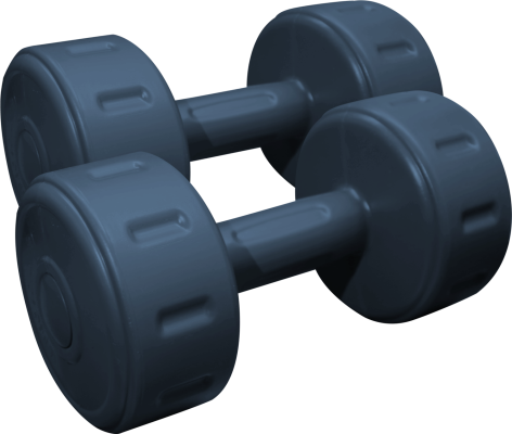 Dumbbell Set ( 10 kg )