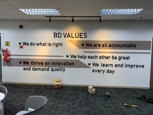 BD Values