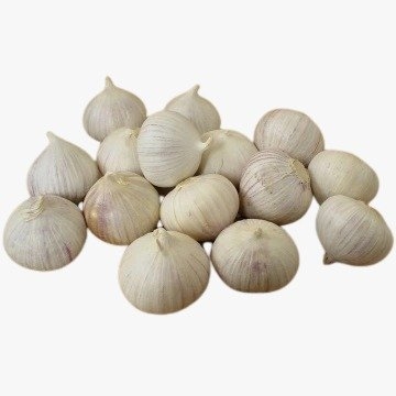 Solo Garlic
