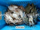 Ketam Bunga Fresh Crab