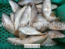 Ikan Gu Nam (ţ) Frozen Fish