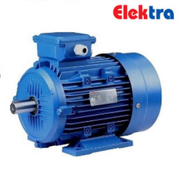 Elektra Motor