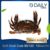 Soft Shell Crab Crab / Prawn