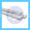 Pipe 3/4'' PVC Pipe PVC Pipe & Fittings