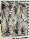 300/500 CUTTLEFISH AB(NO BONE) FROZEN SOTONG