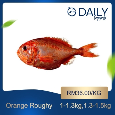 Orange Roughy