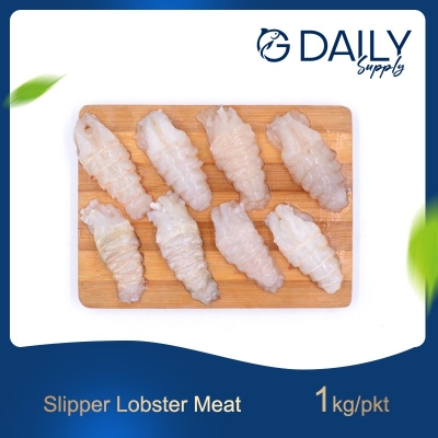 Slipper Lobster Meat