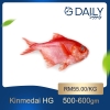 Kinmedai HG Fish