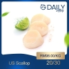 US Scallop Scallop / Squid / Shell Seafood