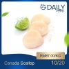 Canada Scallop Scallop / Squid / Shell Seafood