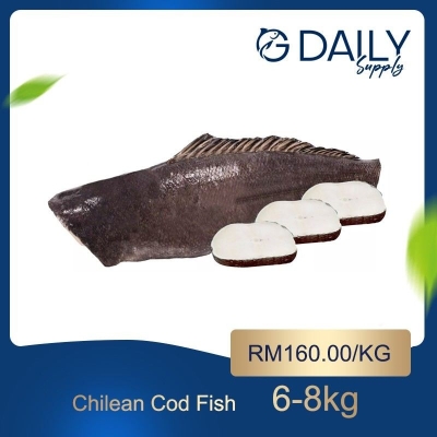 Chilean Cod Fish