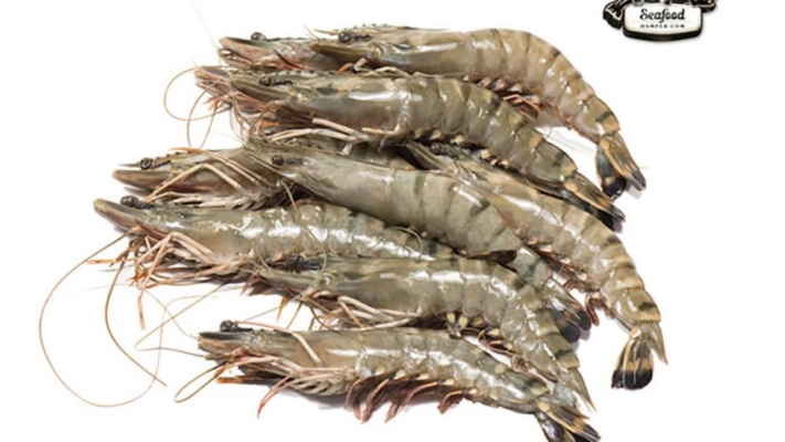 Tiger Prawn 21/25