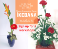 Japanese Ikebana Flower Arrangement Workshop Adult Art & Craft Class Arts and Crafts