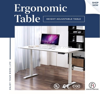4' Ergonomic Table / 4' Height Adjustable table (White)