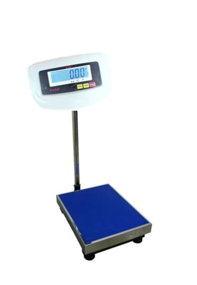 DIGITAL PLATFORM SCALE PROACE