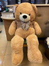 TD 1 12OCM Bear Family Add On 