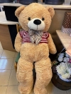 TD 2 120 Cm Large Bear Bear Family Add On 