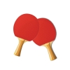 P227 Table Tennis Bat (Training) Table Tennis Bat/Racket/Stick Sport