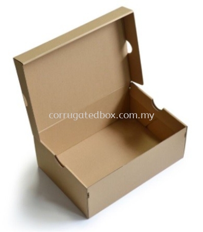 Custom Made Carton Box /Carton /Box