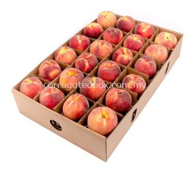 Paper Tray For Peach & Corrugated Tray