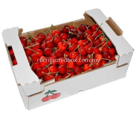 Paper Tray For Cherries