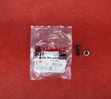 RXZ135, 5PV, UNIVERSAL CLUTCH ADJUSTER SCREW FPH42(CTLIE) 