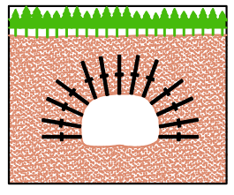 Radial Systematic Anchoring by Self-drilling Anchor (SDA)