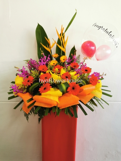 Flower Opening with Ballon