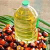 Palm Oil Agriculture