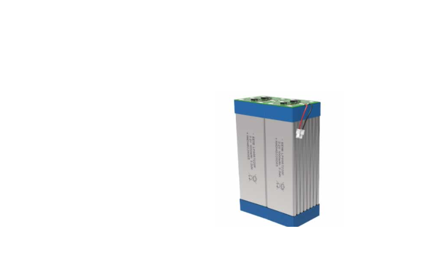 EEMB LP8867220F-2P4S LifePO4 Battery Cell