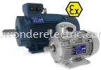 MOTIVE S.R.L ITALY - DELPHI EX Series Asynchronous Three-Phase Electric Motors ATEX Explosion Proof Motor