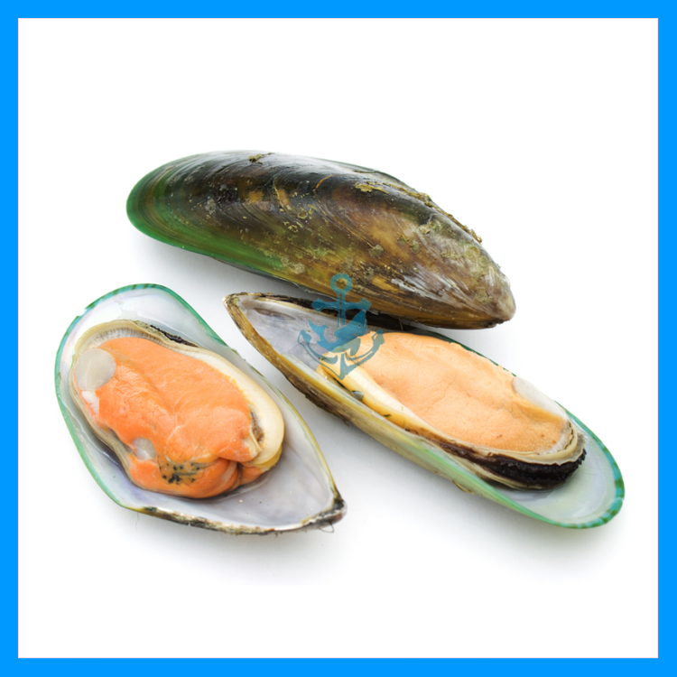 New Zealand Half Shell Green Mussels