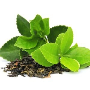 Green Tea Extract