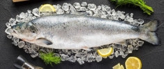 Fresh Trout Whole  Seafoods