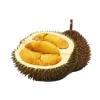 DURIAN 101 DURIAN TYPE