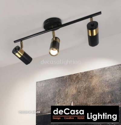 3 IN 1 CEILING PICTURE LAMP