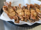 Soft Shell Crab Seafoods