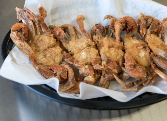 Soft Shell Crab