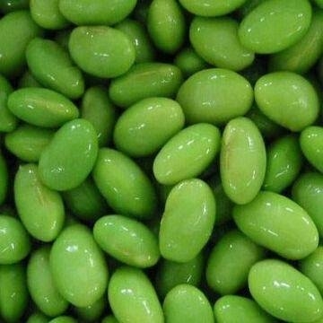 Edamame Seed / Edamame Kernel (Taiwan Rikkon 75 Species)