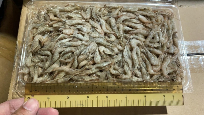 Frozen River Shrimp / Kawa Ebi 