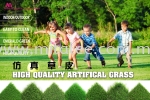 Artificial Grass Sample Grass Carpet