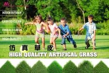 Artificial Grass