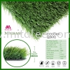 QZK40 Sample Grass Carpet